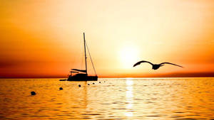 Sailing Yacht Sunset Silhouette Wallpaper