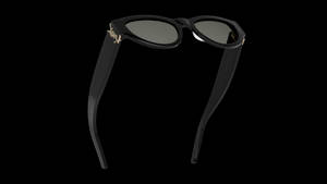 Saint Laurent Paris Sunglasses Wallpaper