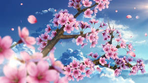 Sakura Flowers In Sky Wallpaper