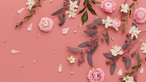 Salmon Pink Spring Aesthetic Wallpaper