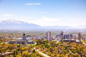 Salt Lake City Green And Yellow Trees Wallpaper