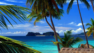 Samoa Beach In The Philippines Wallpaper