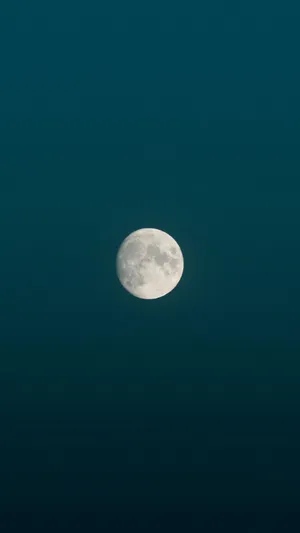 Samsung M51 1080 X 1920 Wallpaper