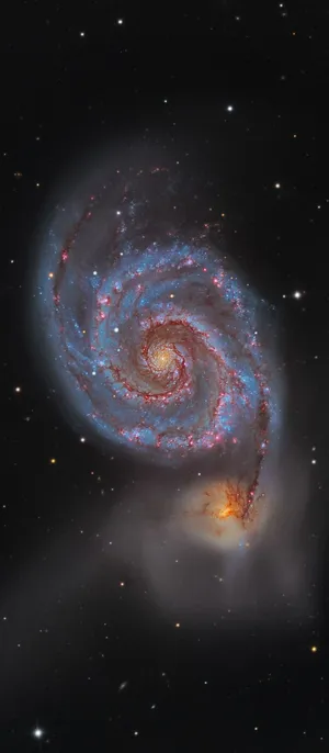 Samsung M51 834 X 1906 Wallpaper