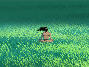 Samurai Jack Meditating In The Field Wallpaper