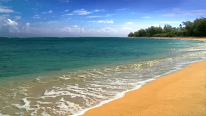 Sandy Beach Waves Hawaii Aesthetic Wallpaper