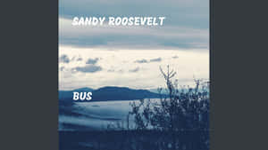 Sandy Roosevelt Bus Cover Art Wallpaper