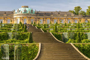 Sanssouci Park Long Staircase Potsdam Wallpaper