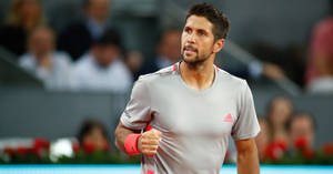 Satisfied Fernando Verdasco Wallpaper