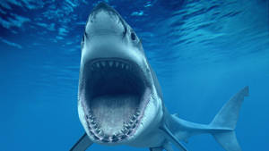 Scary Shark Animal Wallpaper