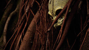 Scary Skull Stuck In Tree Roots Wallpaper