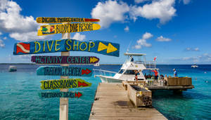 Scenic Bonaire Dive Shop Overlooking The Blue Sea Wallpaper