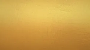 Scenic Landscape With Beautiful Sunlight Wallpaper