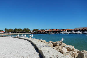 Scenic View Of Hillary's Boat Harbour In Perth Wallpaper