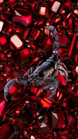 Scorpion Black On Red Aesthetic Gems Wallpaper