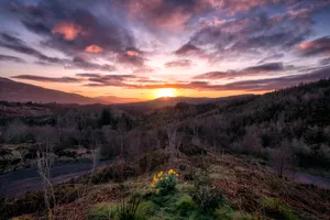 Scotland Trossachs Park Sunrise Wallpaper