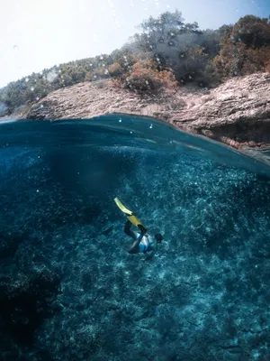 Scuba Diving Ipad Mini Wallpaper