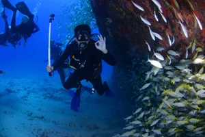 Scuba Diving Okay Hand Posing Wallpaper
