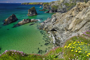 Sea Green Coast Of Cornwall, Uk Wallpaper