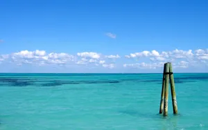 Sea Hd Blue Sky Wallpaper