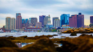 Sea Rocks At Boston Wallpaper