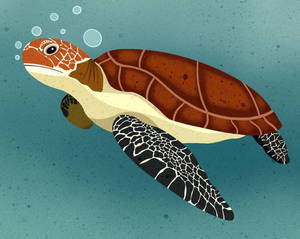 Sea Turtle Painting Wallpaper