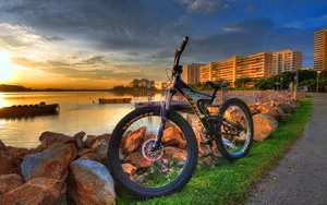 Seaside City Bicycle Wallpaper