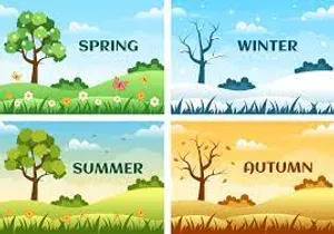 Seasons Of The Year Wallpaper