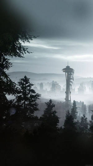 Seattle Iphone Foggy Weather In Washington Wallpaper
