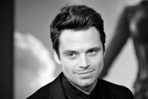 Sebastian Stan Famous Actor Wallpaper