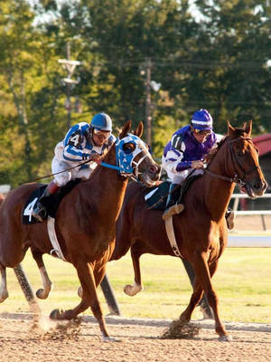 Secretariat Riding With Another Horse Wallpaper