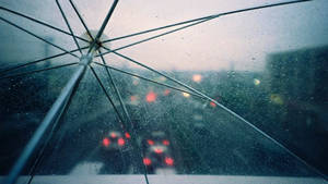 See-through Umbrella While It's Raining Wallpaper