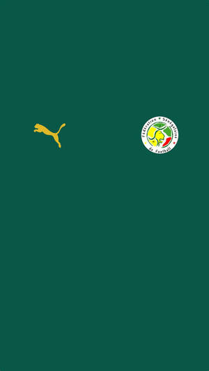 Senegal And Puma Logo Poster Wallpaper
