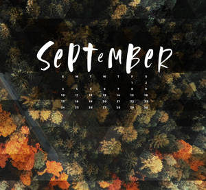 September Calendar With Trees Wallpaper