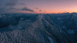 Sequoia National Park Mountain Landscape Wallpaper