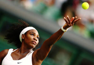 Serena Williams Tennis Serve Wallpaper