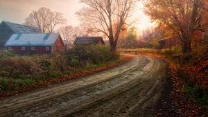 Serene Country Road Covered In Thick Mud Wallpaper