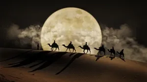 Serene Desert View: Extravagant Camel Silhouettes In A Dazzling Sunset Wallpaper
