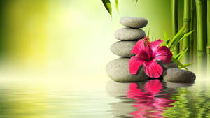 Serene Hibiscus Stone Spa Scene Wallpaper