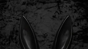 Serene Lake Surrounded By Autumn Forest Wallpaper