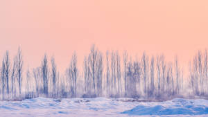 Serene Pastel Pink Snow Wallpaper