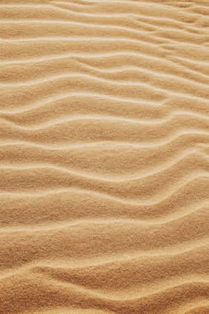 Serene Sandy Beachfront Wallpaper