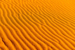 Serene Undulating Sand Dunes Of The Desert Wallpaper
