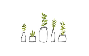 Serenity In Green - An Aesthetic Cute Plant Wallpaper