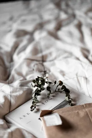 Serenity In Simplicity: A Beautiful Beige Minimalist Design Wallpaper