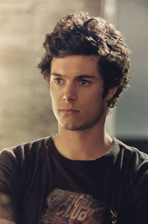 Serious Adam Brody Wallpaper