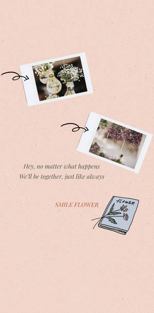Seventeen Smile Flower Lyrics Wallpaper
