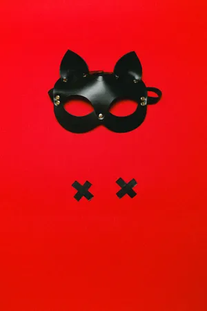 Sexual Leather Mask Wallpaper