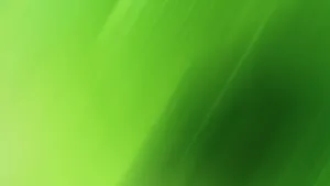 Shades Of Plain Green Wallpaper