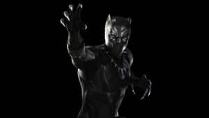 Share The Wild Beauty Of Black Panther Country Wallpaper
